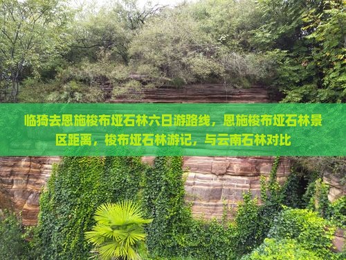 临猗去恩施梭布垭石林六日游