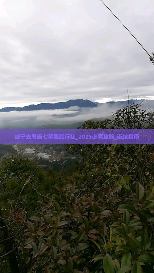 咸宁去恩施七星寨旅行社