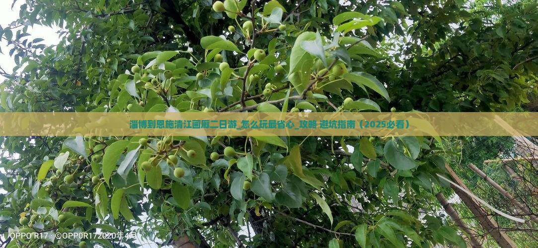 淄博到恩施清江画廊二日游