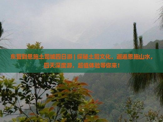 东营到恩施土司城四日游