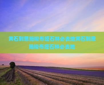 黄石到恩施梭布垭石林必去地