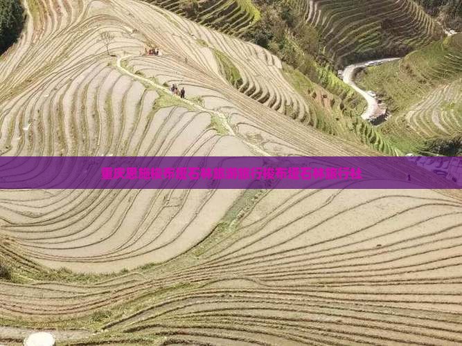 重庆去恩施梭布垭石林旅行社
