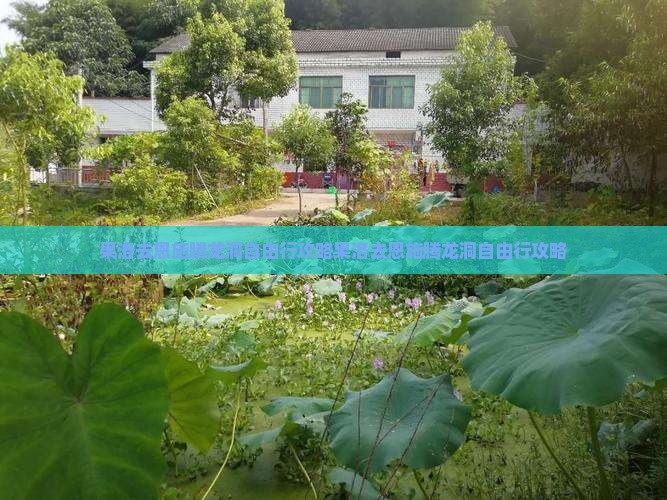 果洛去恩施腾龙洞自由行