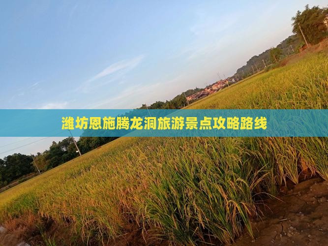 潍坊到恩施腾龙洞大型旅游团