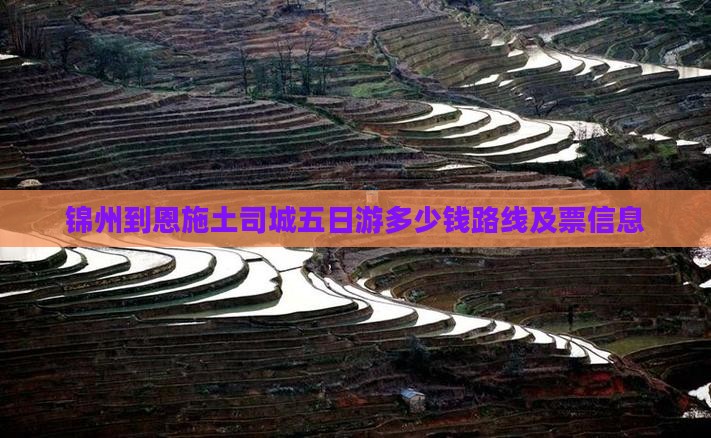 锦州到恩施土司城五日游