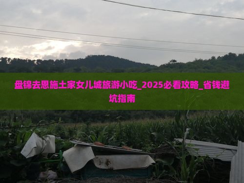 盘锦去恩施土家女儿城旅游小吃