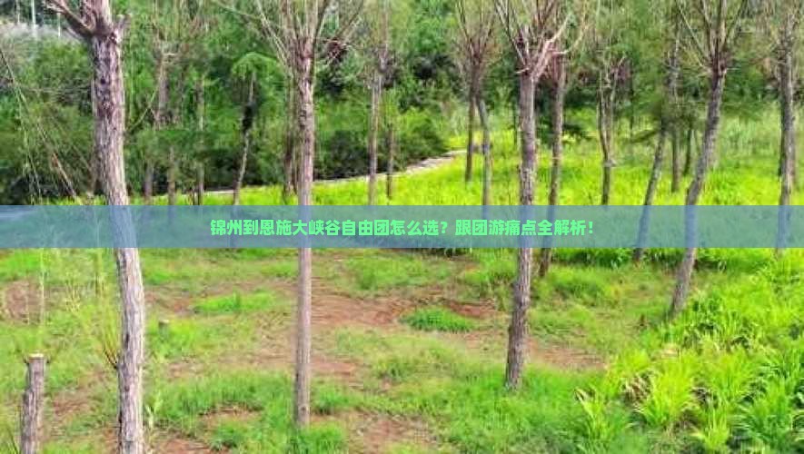 锦州到恩施大峡谷自由团