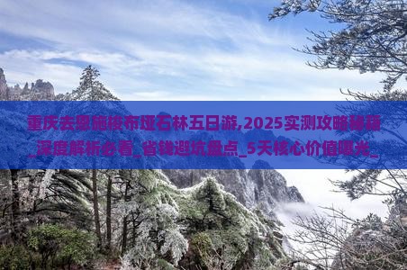 重庆去恩施梭布垭石林五日游