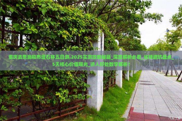 重庆去恩施梭布垭石林五日游