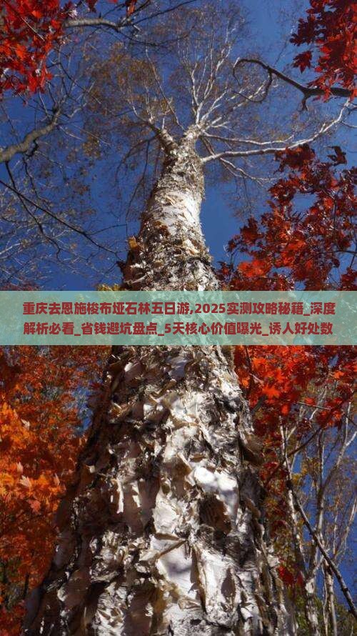 重庆去恩施梭布垭石林五日游