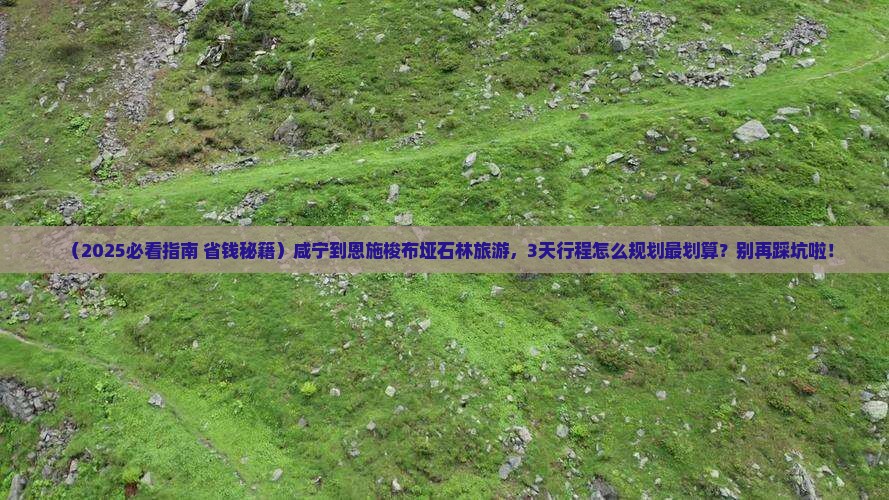咸宁到恩施梭布垭石林旅游