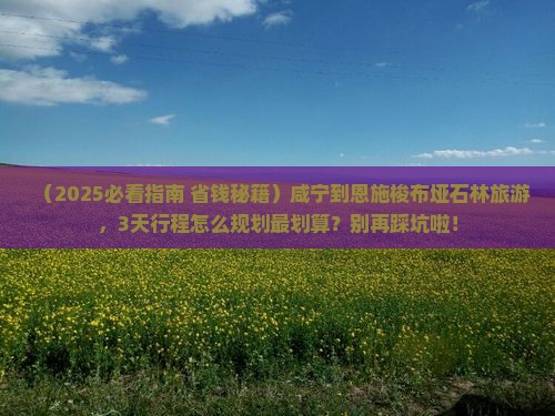 咸宁到恩施梭布垭石林旅游