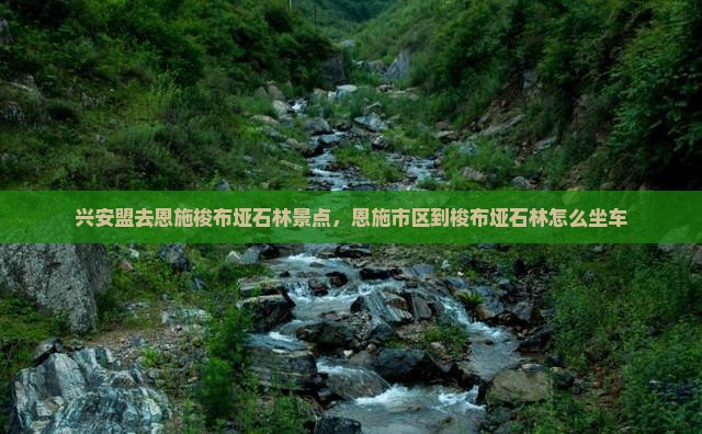 兴安盟去恩施梭布垭石林景点