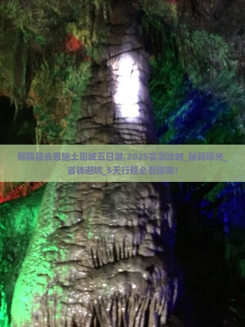 鄢陵县去恩施土司城五日游