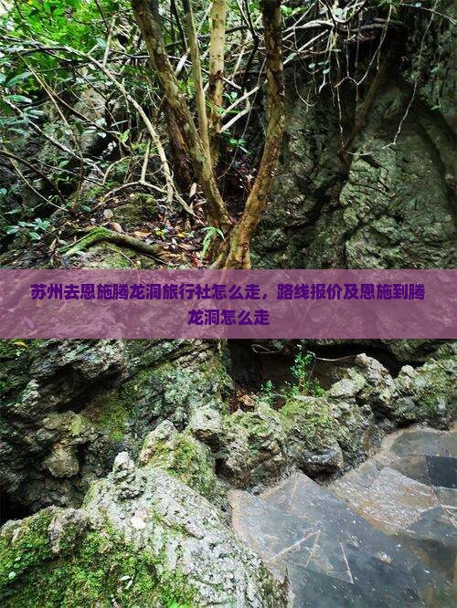 苏州去恩施腾龙洞旅行社
