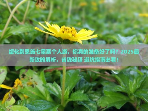绥化到恩施七星寨个人游