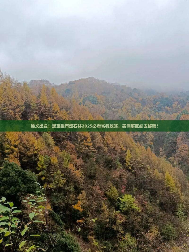 遵义到恩施梭布垭石林旅游