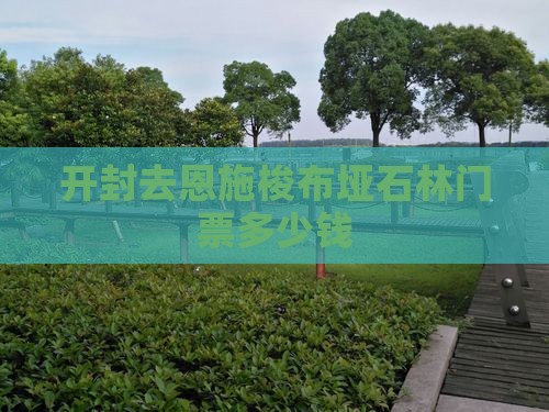 开封去恩施梭布垭石林门票
