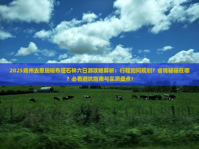 扬州去恩施梭布垭石林六日游