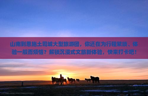 山南到恩施土司城大型旅游团