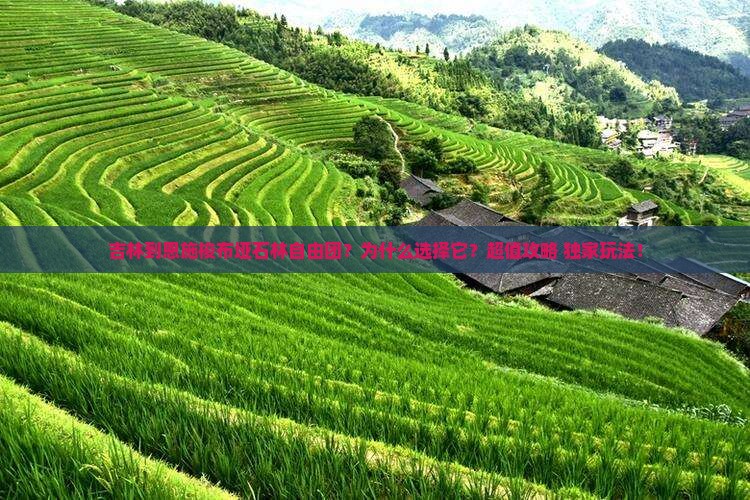 吉林到恩施梭布垭石林自由团