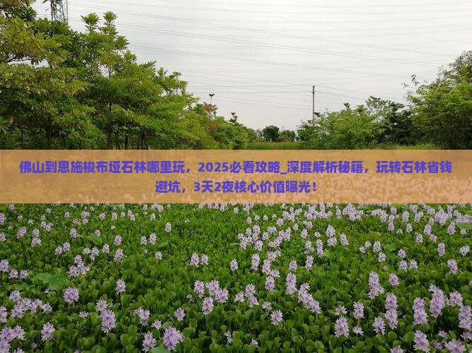 佛山到恩施梭布垭石林哪里玩