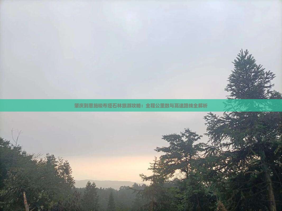 肇庆到恩施梭布垭石林必去地