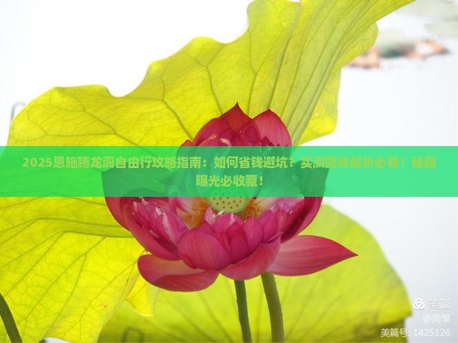 玉树去恩施腾龙洞自由行