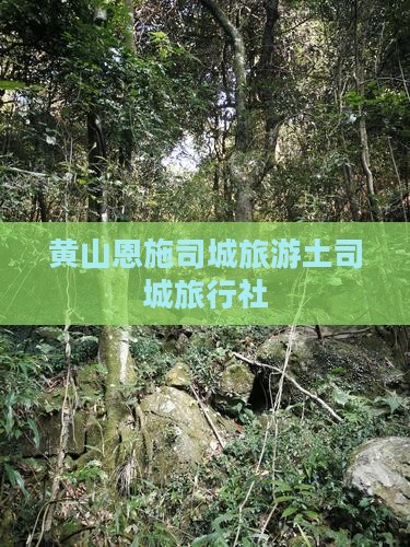 黄山去恩施土司城旅行社