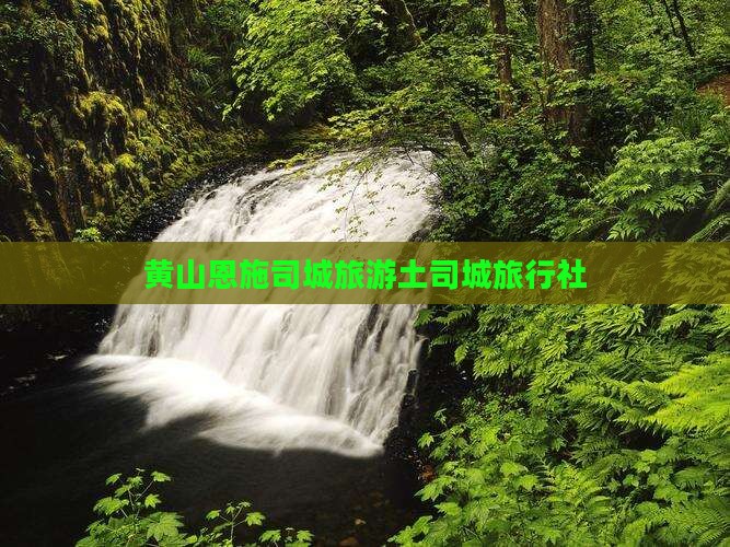 黄山去恩施土司城旅行社