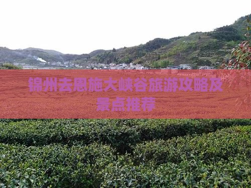 锦州去恩施大峡谷旅游