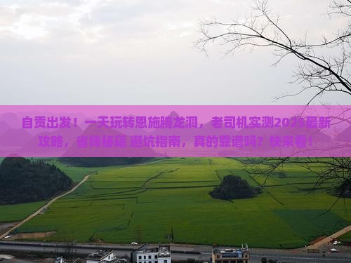 自贡到恩施腾龙洞一日
