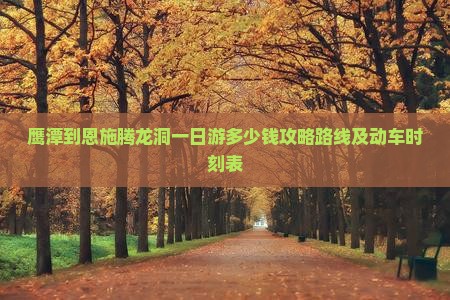 鹰潭到恩施腾龙洞一日