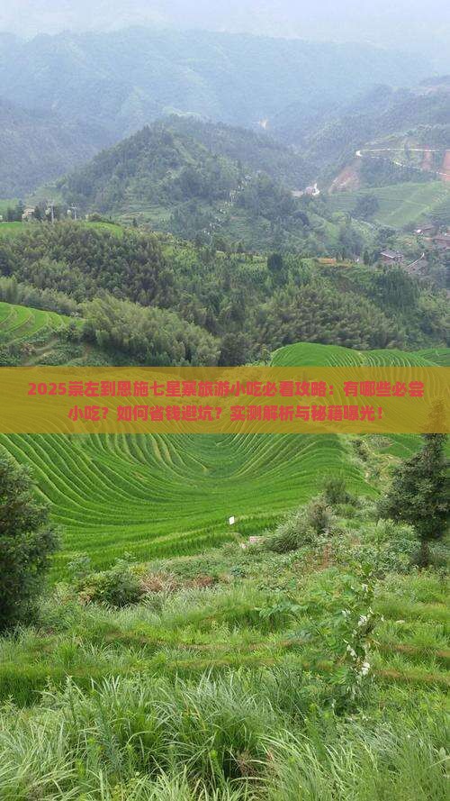 崇左到恩施七星寨旅游小吃