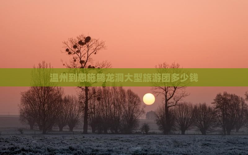 温州到恩施腾龙洞大型旅游团