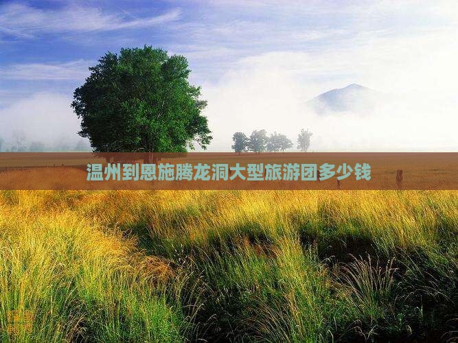 温州到恩施腾龙洞大型旅游团