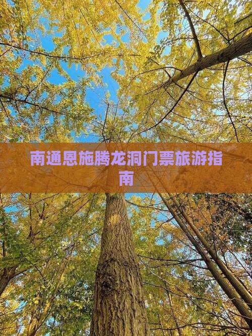 南通到恩施腾龙洞门票