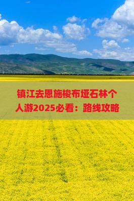 镇江去恩施梭布垭石林个人游
