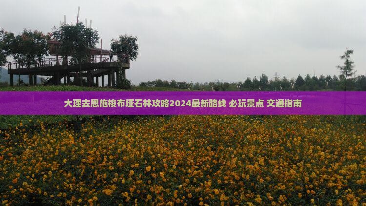 大理去恩施梭布垭石林攻略