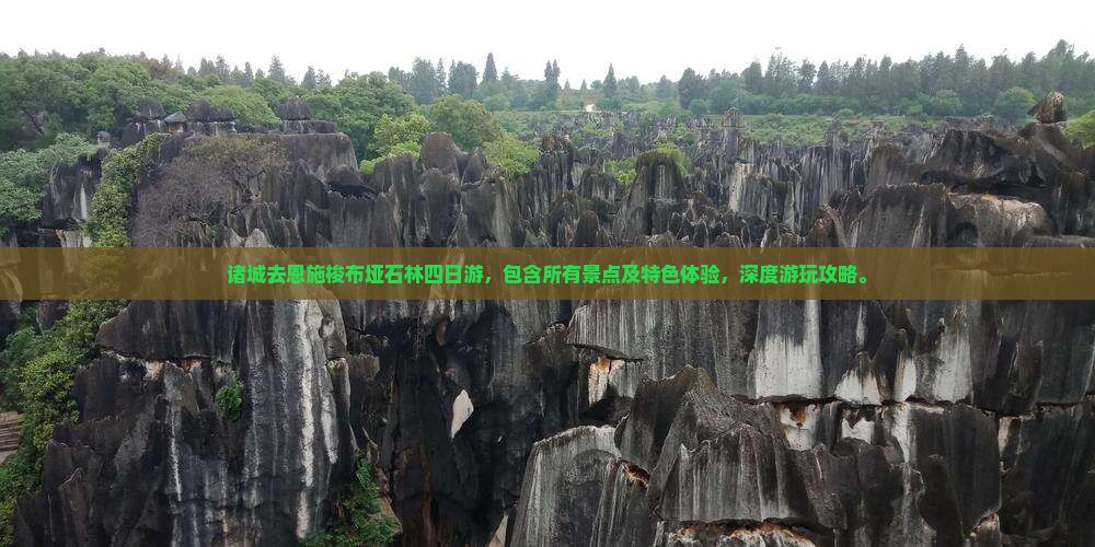 诸城去恩施梭布垭石林四日游