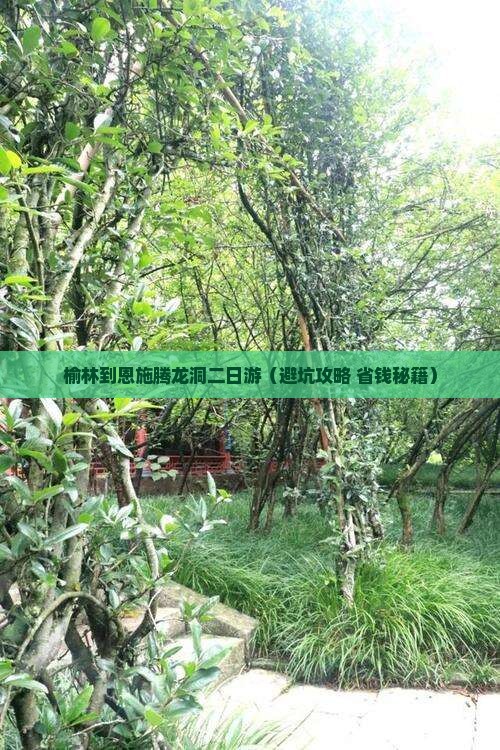 榆林到恩施腾龙洞二日游