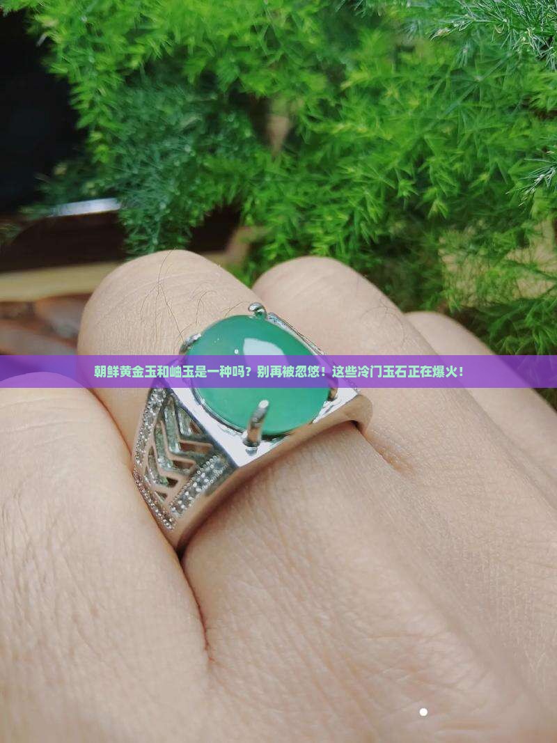朝鲜黄金玉和岫玉是一种吗