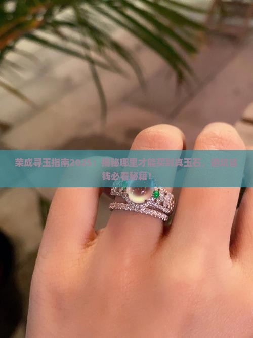 荣成哪里有卖玉石店的石头呢