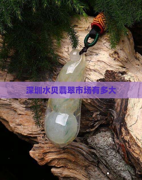 深圳水贝翡翠有多大