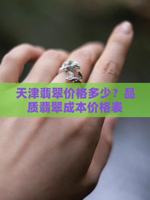 天津品质翡翠成本价格表