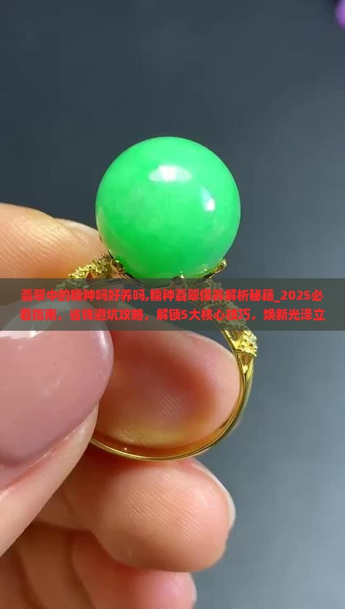 翡翠中的糯种吗好养吗