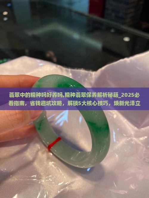 翡翠中的糯种吗好养吗