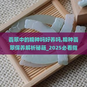 翡翠中的糯种吗好养吗