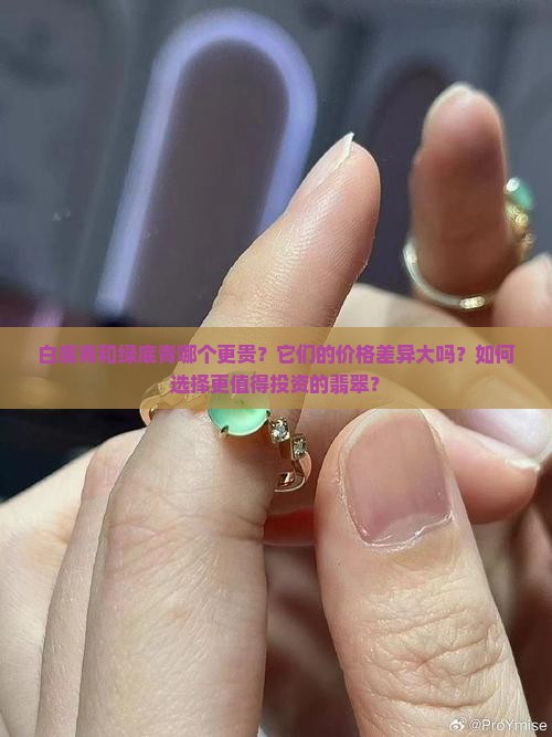 白底青贵还是绿底青贵
