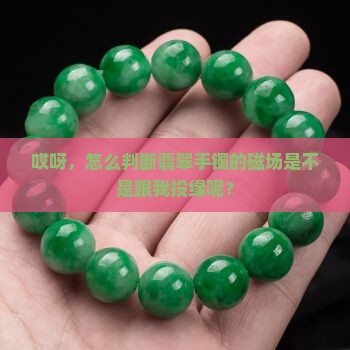 怎么判别跟翡翠手镯磁场相合